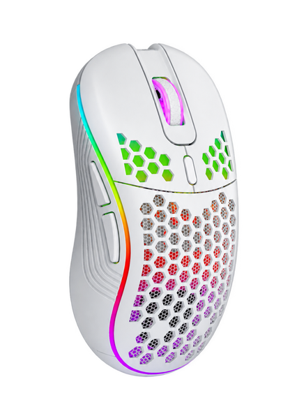 Wireless Gaming Mouse Black/White